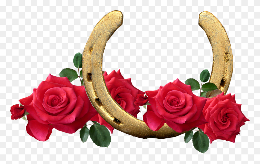944x571 Horse Shoe Red Roses Lucky Romantic, Rose, Flower, Plant Descargar Hd Png
