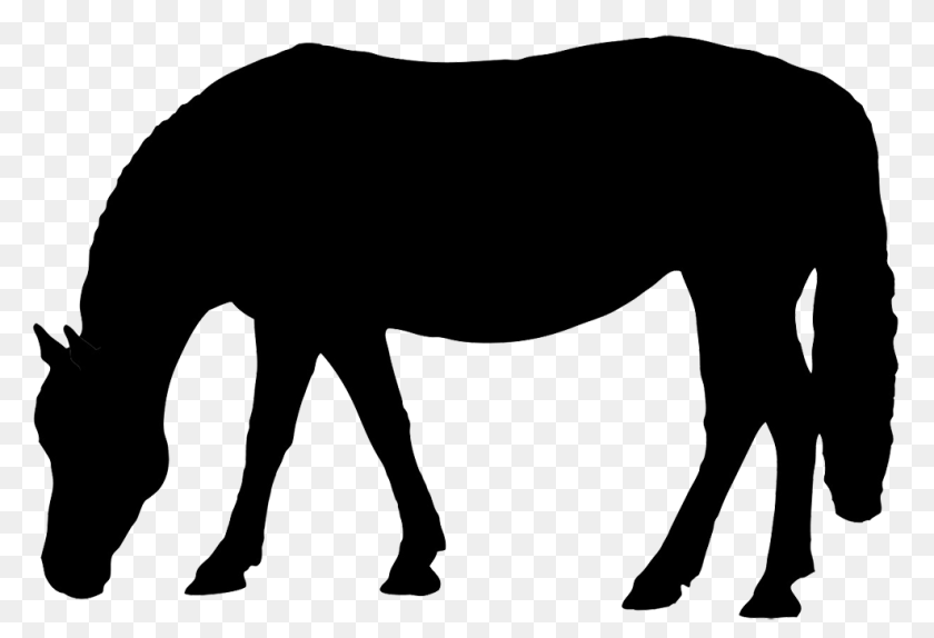 Horse Silhouette, Animal, Mammal, Adult, Male Clipart PNG