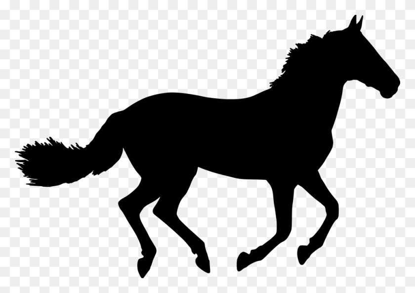 960x656 Horse Silhouette Black Horse Inside Coolmore, Gray, World Of Warcraft HD PNG Download