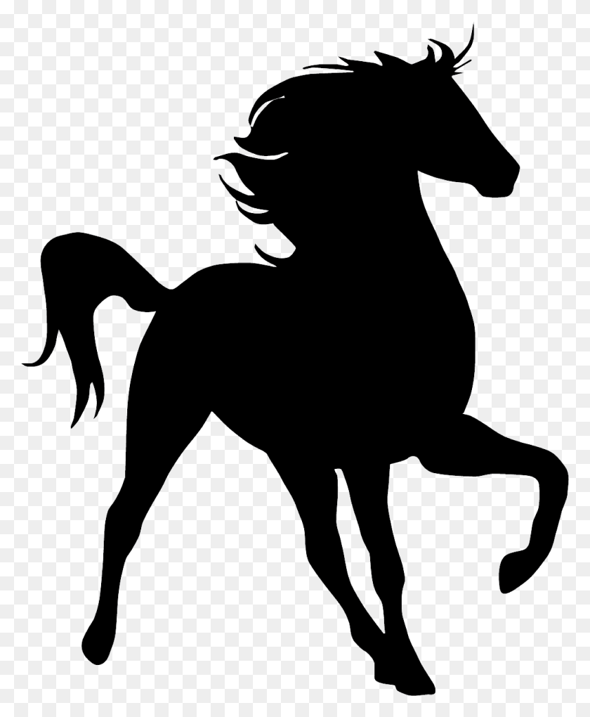 4284x5276 Horse Silhouette Unicorn Silhouette, Person, Human HD PNG Download