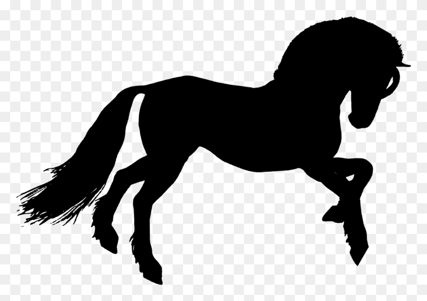 1213x828 Horse Silhouette Wild Stallion, Gray, World Of Warcraft HD PNG Download