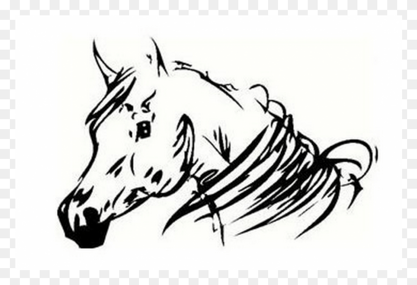 901x594 Horse Sketches, Stencil HD PNG Download