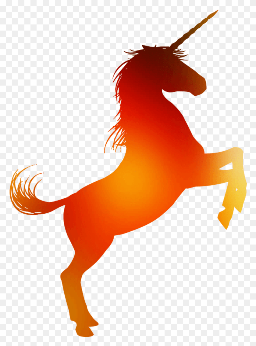 1001x1377 Лошадь Векторная Графика Роялти Бесплатно Воспитание Иллюстрация Золотой Единорог Наклейка На Стену, Животное, Млекопитающее Png Скачать