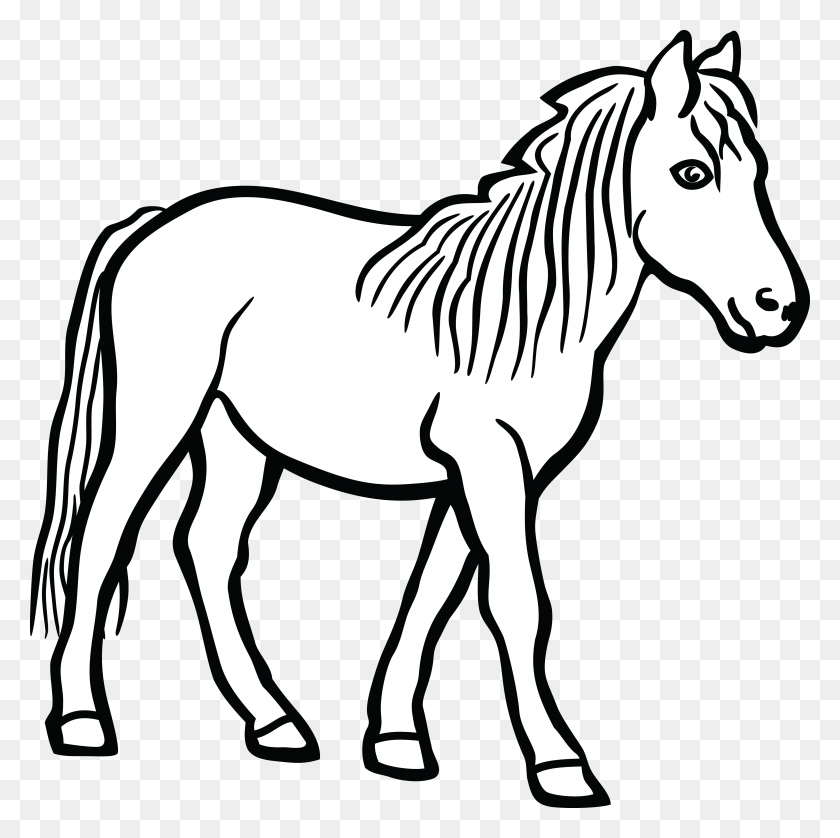 4000x3991 Horses Black And White Horse Clipart Images Black And White, Mammal, Animal, Zebra HD PNG Download