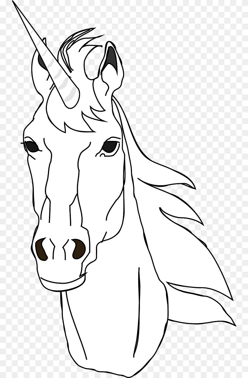 760x1280 Horses Head Outline Clipart, Stencil, Adult, Person, Female Sticker PNG