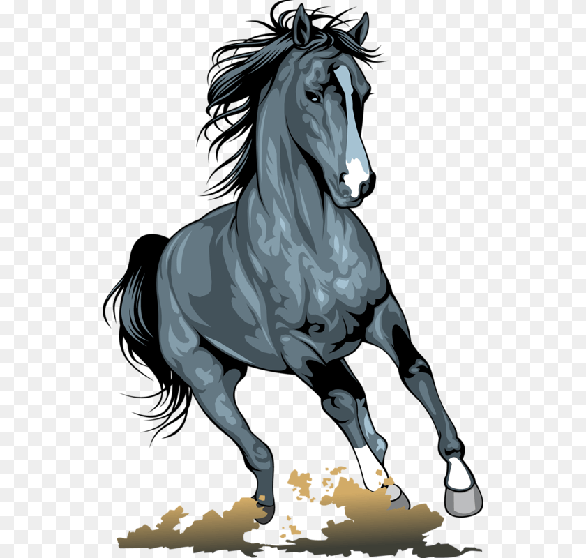 Horses Illustration, Horse, Animal, Stallion, Mammal PNG