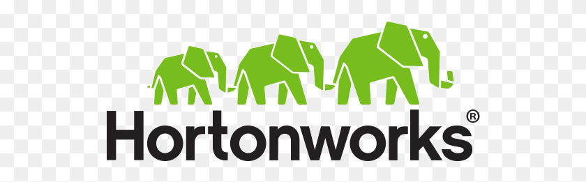 536x201 Логотип Платформы Данных Hortonworks, Насекомое, Беспозвоночное, Животное Png Скачать