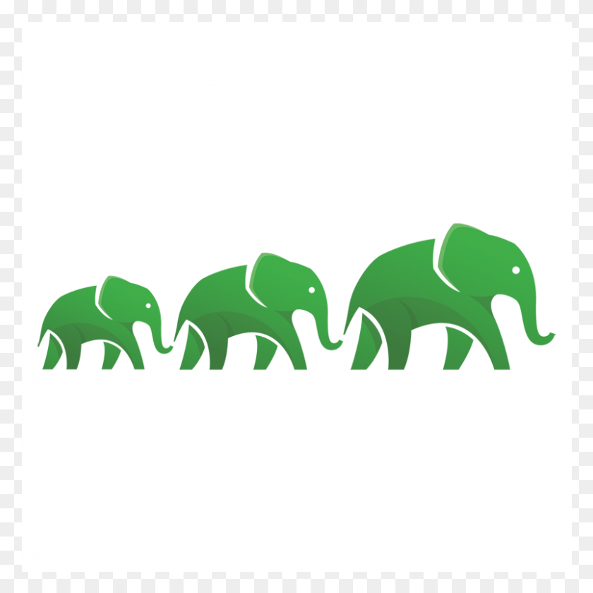 801x801 Логотип Hortonworks Индийский Слон, Животное, Дикая Природа, Млекопитающее Hd Png Скачать