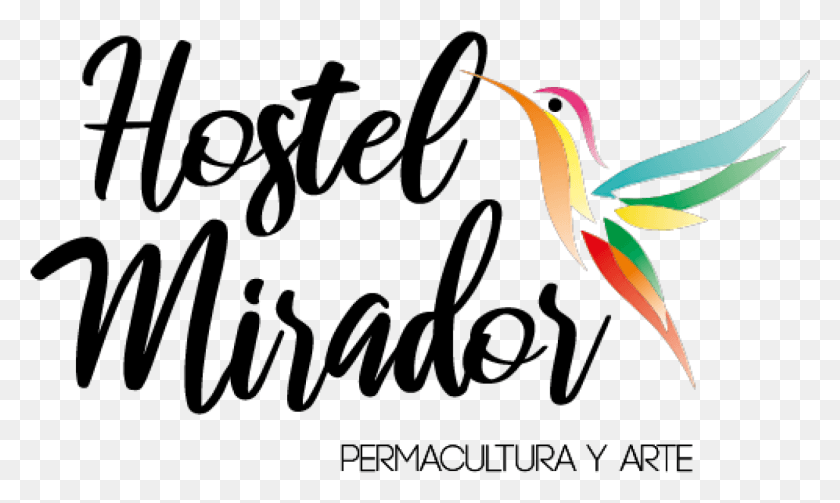 1529x870 Hostel Mirador Illustration, Bird, Animal, Beak HD PNG Download