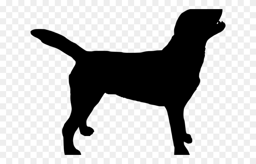 640x480 Hot Dog Clipart Silhouette Dog Silhouette Transparent Background, Gray, World Of Warcraft HD PNG Download