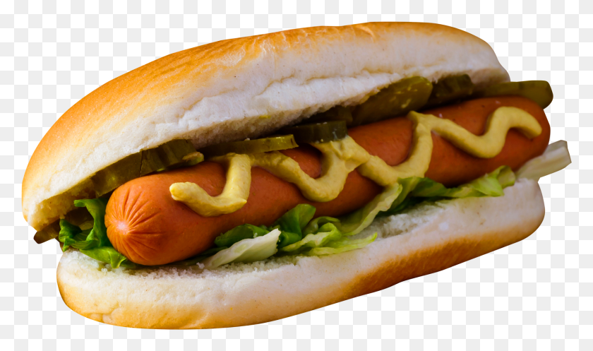 1725x968 Hot Dog Sandwich Hot Dog, Food, Burger HD PNG Download