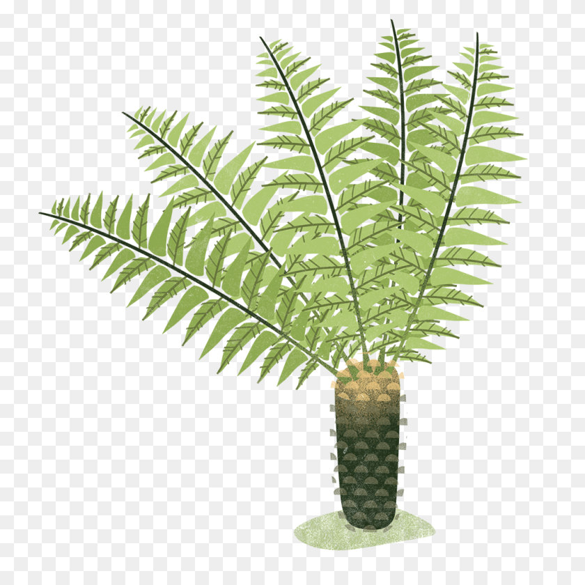Hot Tub Garden, Leaf, Plant, Tree, Fern Transparent PNG