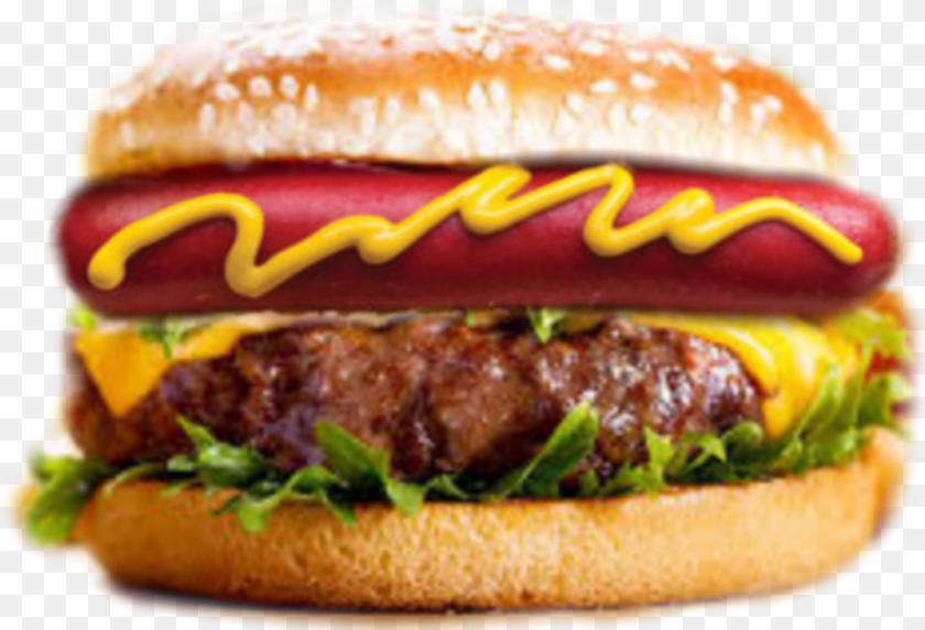 1024x697 Hotdog Burger Hordogburger Foods Plant Based Meat Healthy, Food PNG