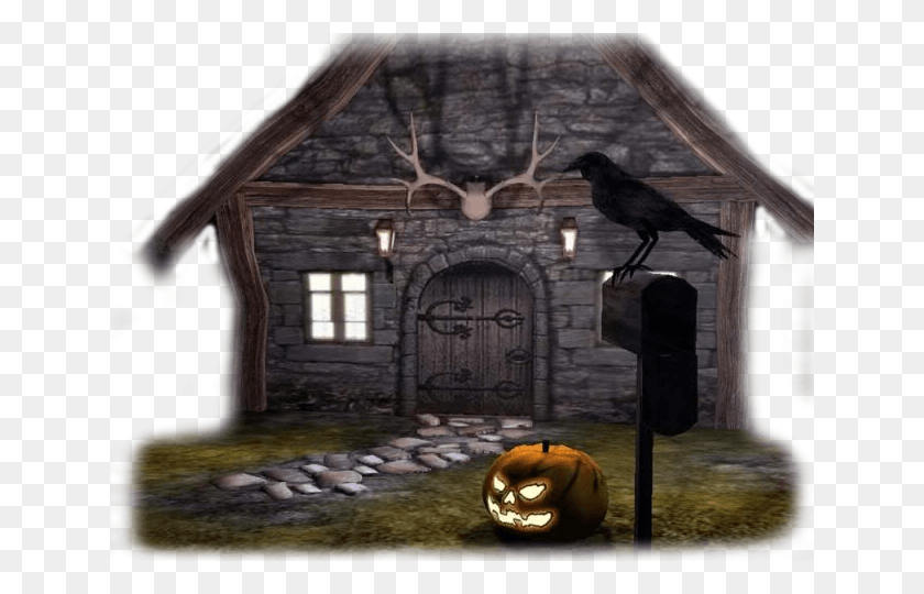 640x480 House 070 Crow Happy Halloween Gif, Bird, Animal, Housing HD PNG Download