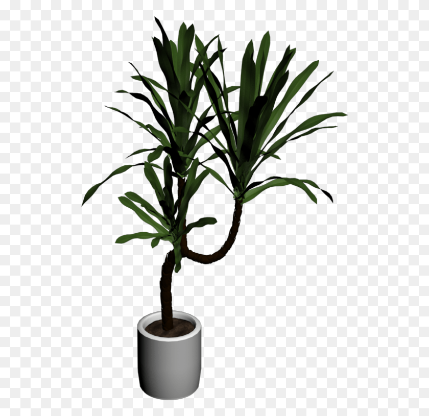 524x755 House Palm House Palm, Plant, Tree, Palm Tree HD PNG Download