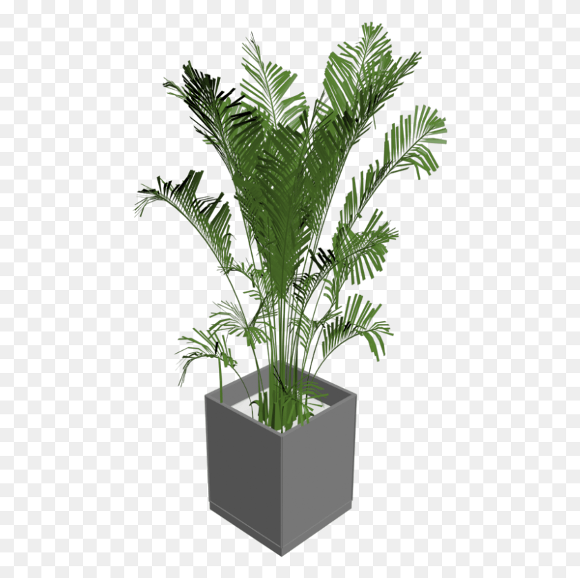 458x777 Комнатное Растение Пальмы, Растение, Ваза, Банка Hd Png Скачать