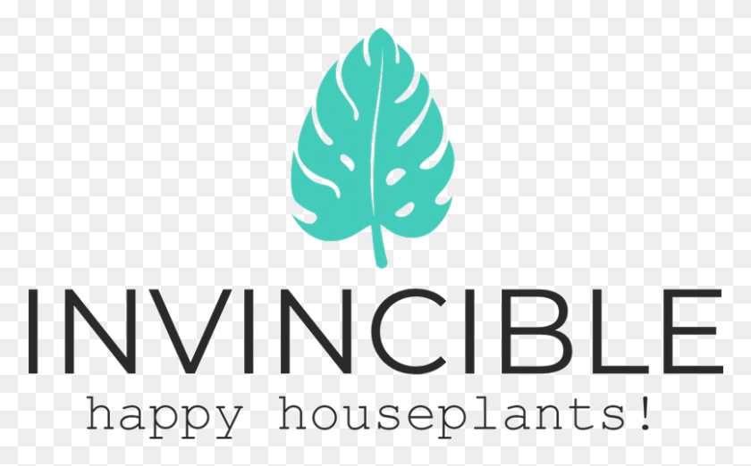805x477 House Plant, Leaf, Potted Plant, Vase HD PNG Download