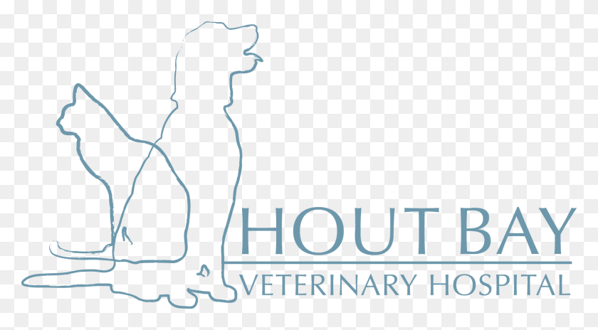 1499x777 Hout Bay Vet Illustration, Text, Outdoors HD PNG Download