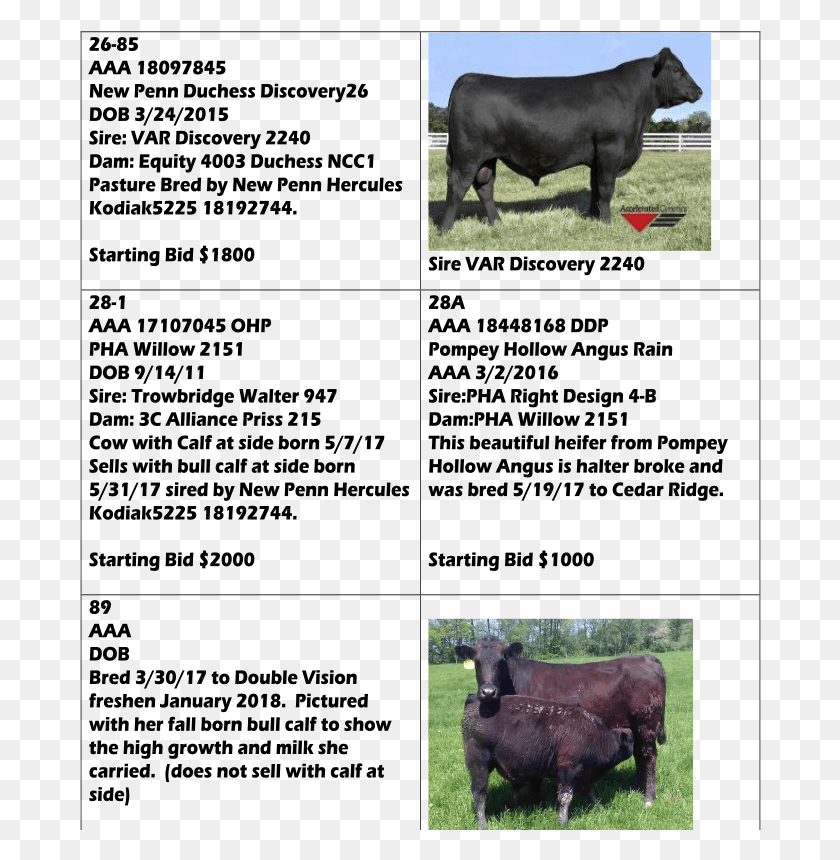 682x800 How A Tag Sale Works Dairy Cow, Bull, Mammal, Animal HD PNG Download