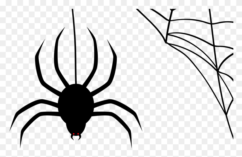 1087x675 How Birds Fly Charlotte39s Web Spider, Gray, Outdoors, World Of Warcraft HD PNG Download