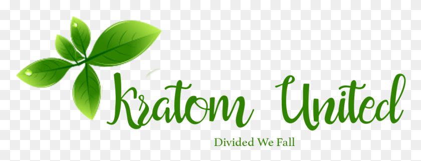 1060x357 How Can Kratom Be Complicit If It Is Not Quantified Calligraphy, Plant, Text, Potted Plant HD PNG Download