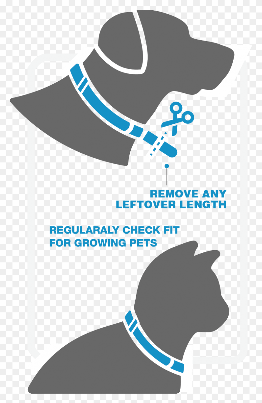 790x1246 How Flea Collars Should Fit Police Dog, Axe, Tool, Poster HD PNG Download