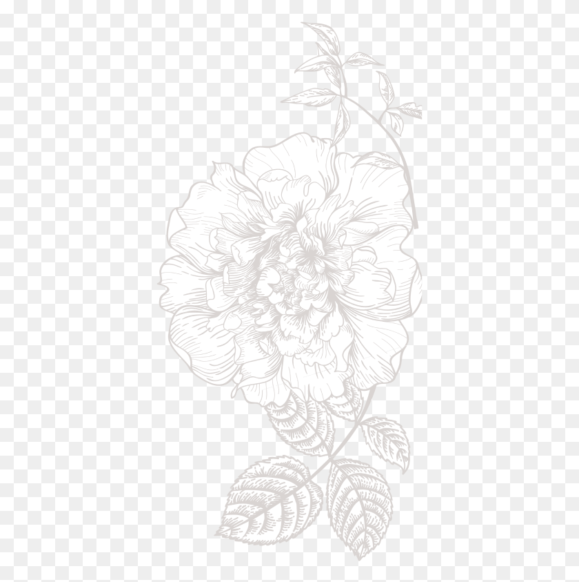 387x783 How Miss Ginny Started Illustration, Plant, Flower, Blossom HD PNG Download