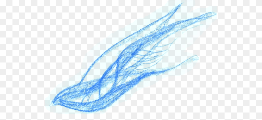How Spirit Moves, Animal, Aquatic, Sea Life, Water PNG