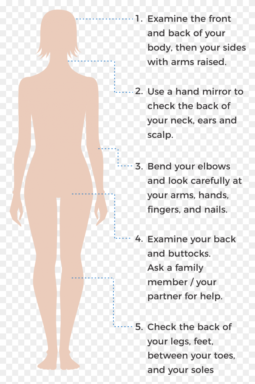 853x1321 How To Check Your Skin Spots Standing, Plot, Diagram, Person HD PNG Download