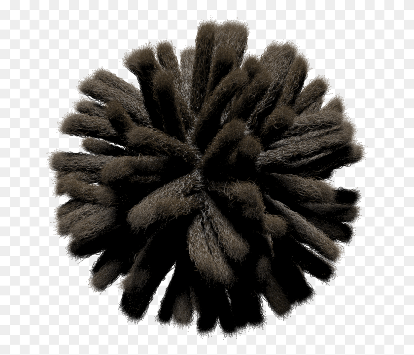 655x661 How To Create Hair Styled Like Dreadlocks Petal, Nature, Outdoors, Sea HD PNG Download