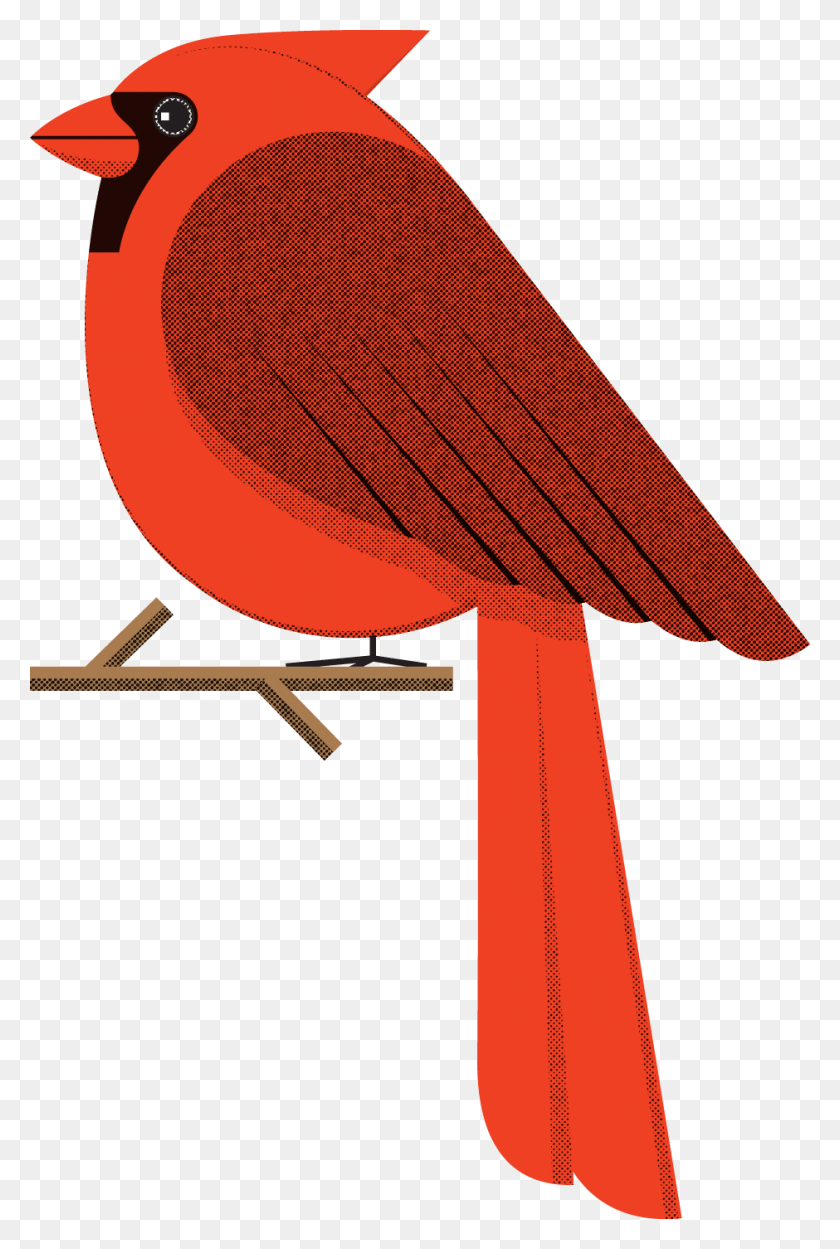 940x1434 Как Создать Полутоновые Точки В Illustrator Cardinal, Фанера, Дерево, Одежда Hd Png Скачать