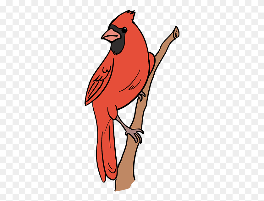 303x582 How To Draw A Cardinal Bird, Animal, Finch, Jay HD PNG Download