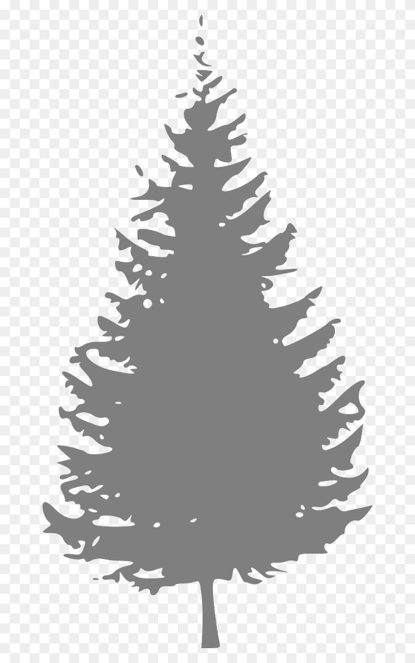 668x1280 How To Draw A Christmas Tree Stencil 7 Christmas Tree Black And White Pine Tree Clipart, Tree, Plant, Pine HD PNG Download