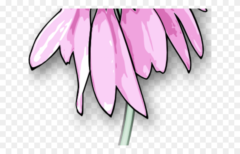 640x480 How To Draw A Dead Flower Dead Flower Drawing Cartoon, Plant, Petal, Blossom HD PNG Download