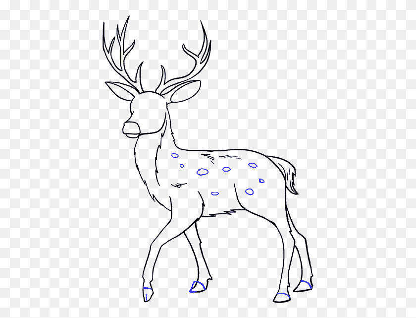 427x581 How To Draw A Deer In Few Drawing, Wildlife, Mammal, Animal HD PNG Download