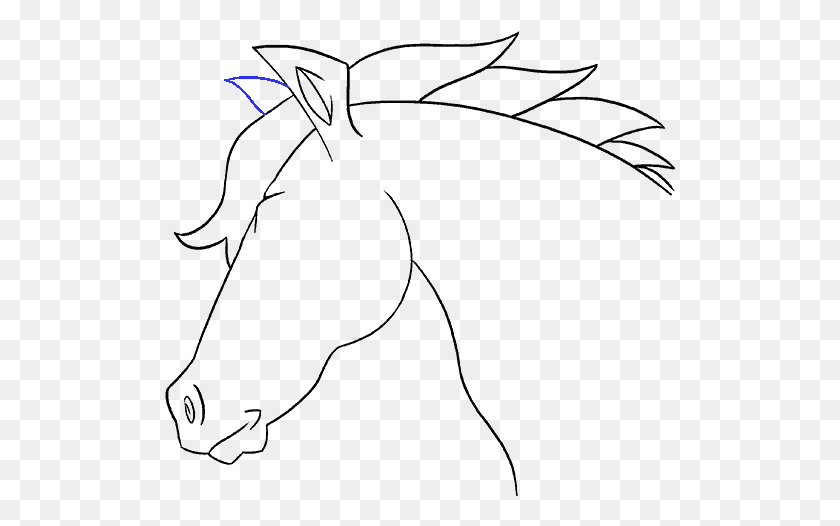 511x466 How To Draw A Horse S Head Drawing, Outdoors, Nature, Flare HD PNG Download