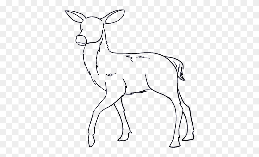 423x451 How To Draw A In Few Easy Draw A Deer, Animal, Wildlife, Mammal HD PNG Download