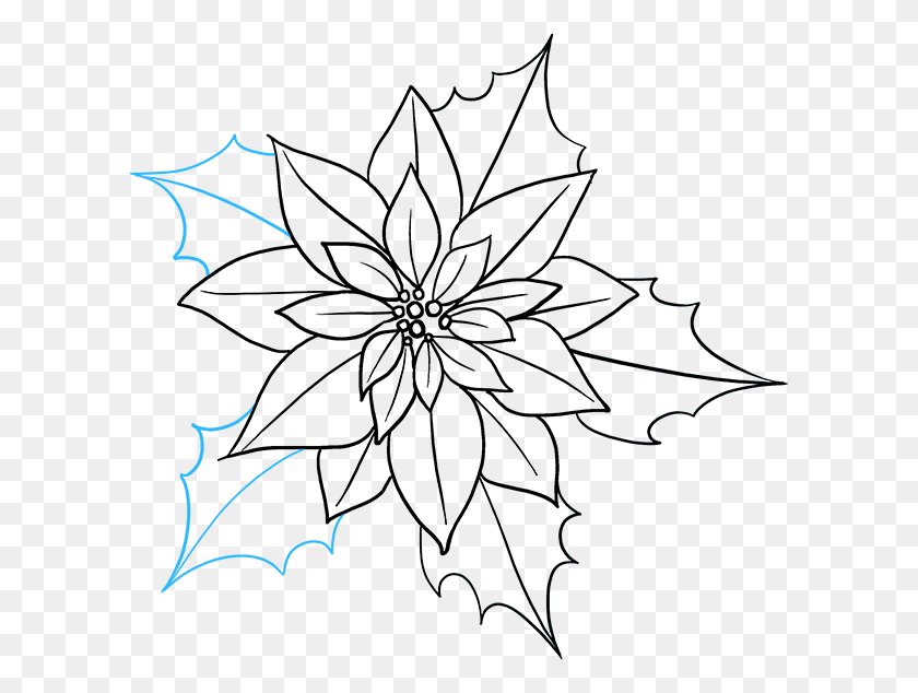 605x574 How To Draw A Really Easy Drawing Poinsettia Drawing, Nature, Outdoors, Night HD PNG Download