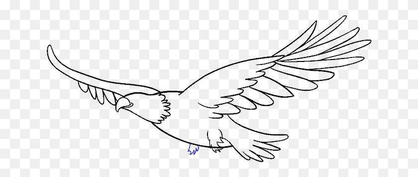 654x297 Cómo Dibujar Un Águila Png