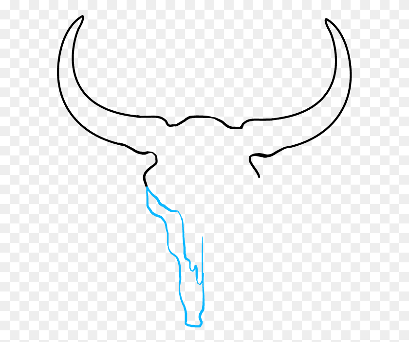 607x644 How To Draw Bull Skull Bull Skull Drawing, Outdoors, Light, Nature HD PNG Download