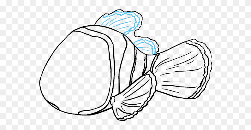 580x376 How To Draw In A Few Easy Nemo In Black And White, Animal, Aquatic, Water HD PNG Download