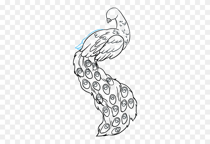 257x518 How To Draw Peacock Drawing Of Peacock Bird, Text, Fractal, Pattern HD PNG Download