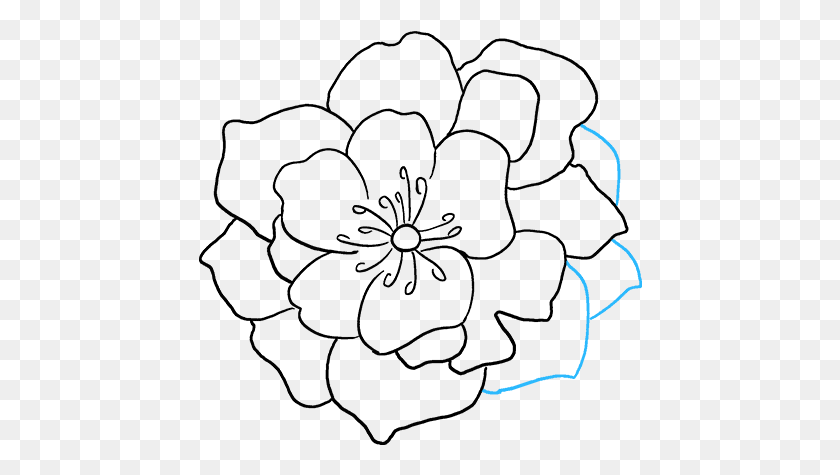 444x415 How To Draw Peony Flower Drawing Easy, Outdoors, Text, Nature HD PNG Download