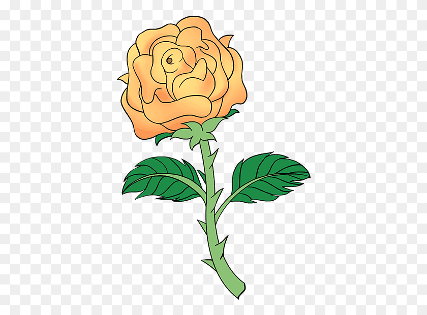 382x560 How To Draw Rose With A Stem Orange Rose Drawing, Plant, Flower, Blossom HD PNG Download