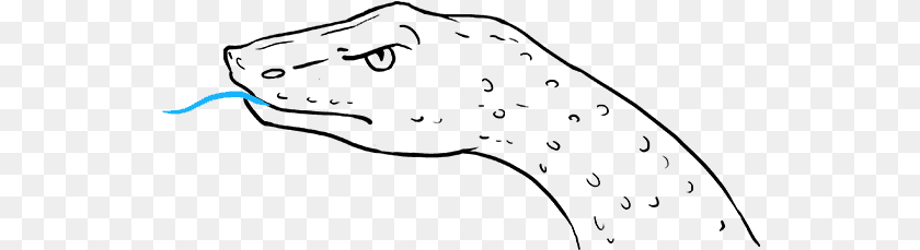 How To Draw Snake Head Drawing PNG