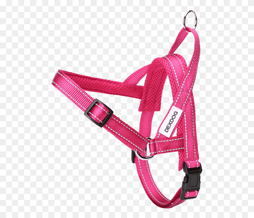 500x660 How To Fit Dog Harness, Strap, Accessories, Accessory HD PNG Download