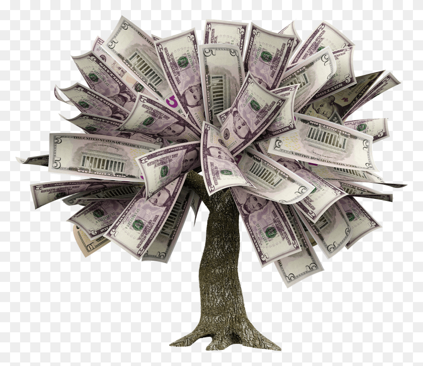 1920x1643 How To Grow A Money Tree Money Tree Transparent HD PNG Download