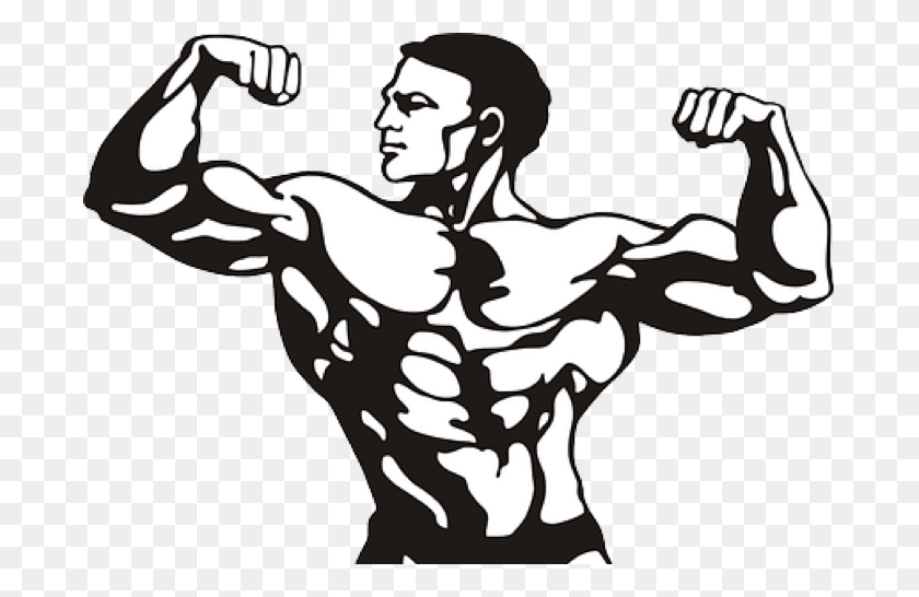 687x486 How To Grow Your Muscles And Get Body Building Clipart, Hand, Stencil, Fist HD PNG Download