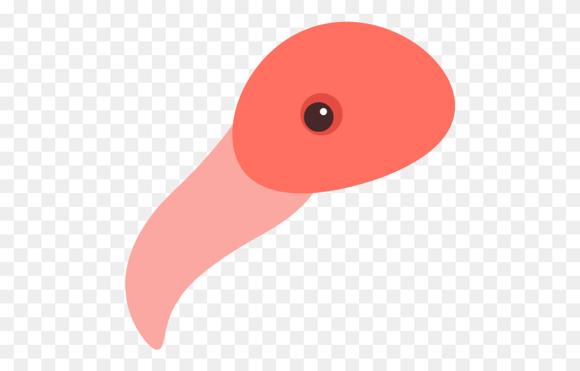 480x478 How To Place The Beak On The Head Greater Flamingo, Animal, Reptile, Amphibian HD PNG Download
