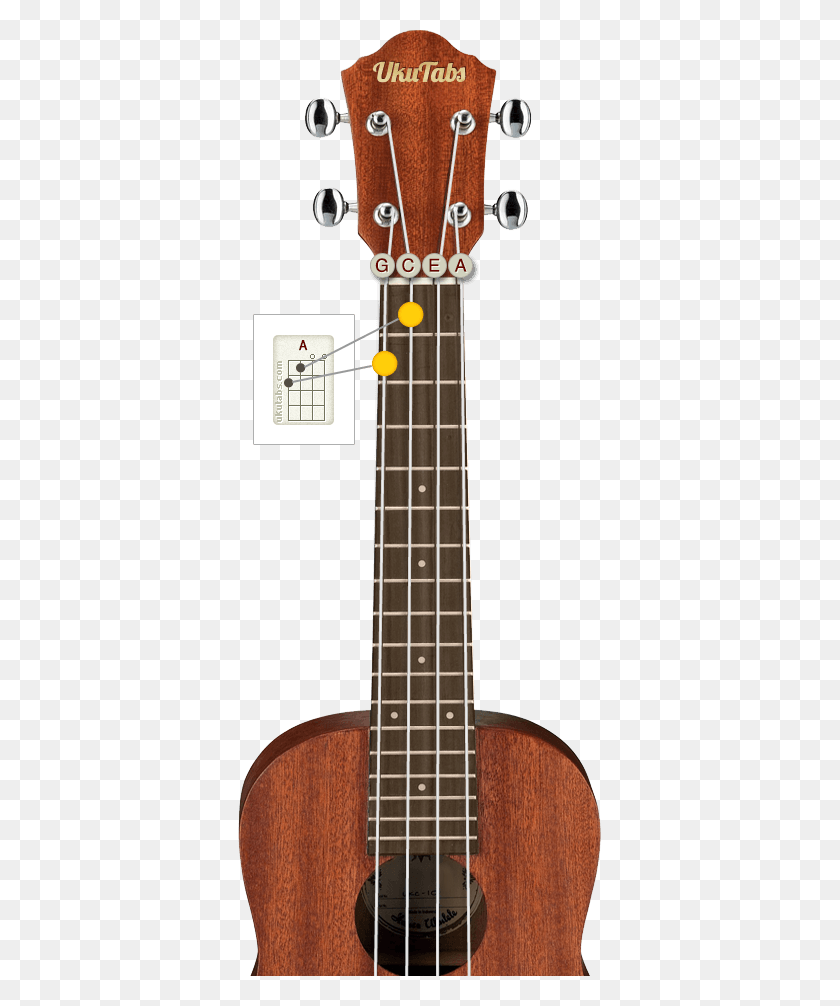 363x946 How To Read Chord Diagrams Ukulele Ukulele, Guitar, Leisure Activities, Musical Instrument HD PNG Download